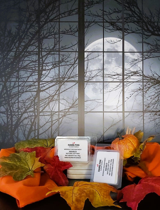 Midnight Enchantment | 3oz|6 Pack Wax Melts